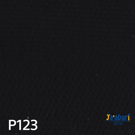 p123
